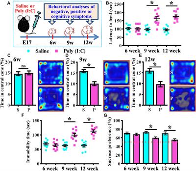 A Critical Period for the Development of Schizophrenia-Like Pathology by Aberrant Postnatal Neurogenesis